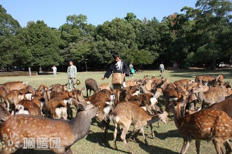 时代美容美发化妆学?？瓮馍? width=